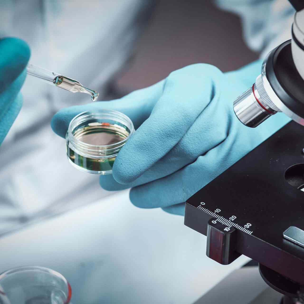 Service https://demo.tmblab.vn/wp-content/uploads/2020/04/service-01.jpg