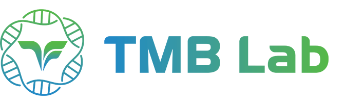 tmblab.vn